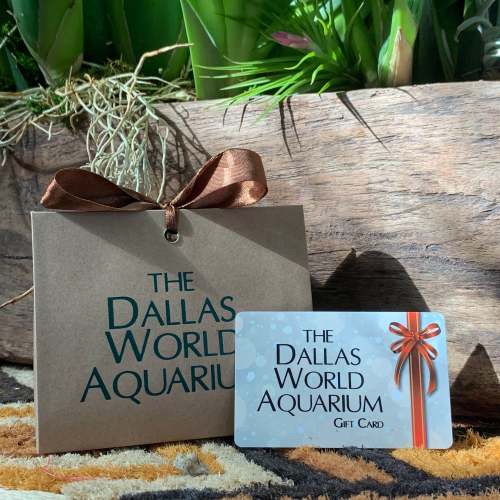 Gift Card for Dallas World Aquarium Membership