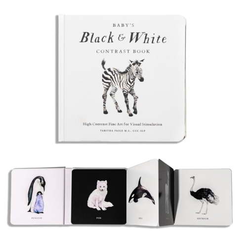 Our Little Adventures Baby's Black and White Contrast Book: High-Contrast Art for Visual Stimulation at Tummy Time, (Board Book)