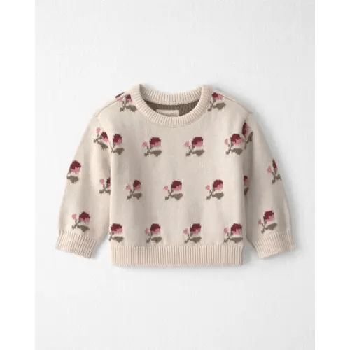Baby Organic Cotton Sweater Knit Pullover in Wildflower Maize - Little Planet | Carter's