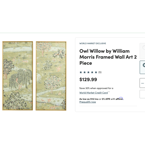Owl Willow by William Morris Framed Wall Art 2 Piece - World Market