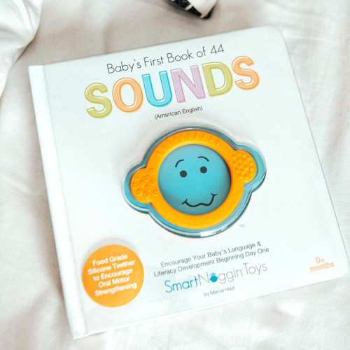 SmartNoggin Book of 44 Sounds