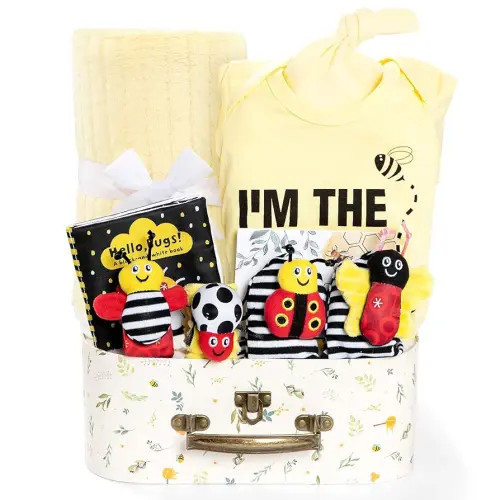 Baby Gift Set for Newborn, Bee Basket, High Contrast Baby Book Toys 0-6 Months Infant Rattle Socks Blanket Hat Onesie Baby Gifts Essentials for Girls Boys