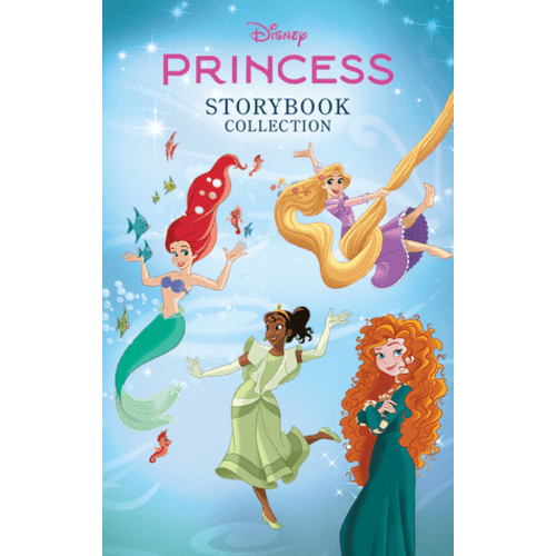 Disney Princess Storybook Card