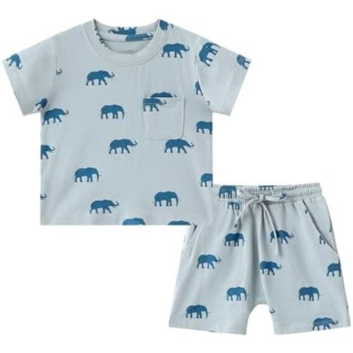 Baby Boys Clothes Set Infant Summer Short Sleeve T Shirt Tops Short Set Toddler Casual Outfits