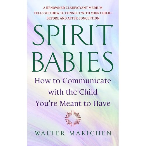 Spirit Babies: How to Communicate with the Child You're Meant to Have Paperback – June 28, 2005