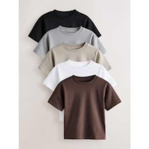 Buy Black/Grey/Brown/Stone/White Relaxed Fit Short Sleeve T-Shirts 5 Pack (3mths-7yrs) from Next USA