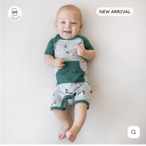 Shortall in Mallard Duck