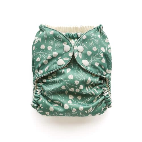 Esembly Cloth Diaper Cover, Botany, Size 1 (7-17 lbs) | Reusable, Waterproof, Breathable and Adjustable Outer Layer Over Absorbent Inner, Blowout Protection and Reusbale Swim Diaper