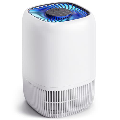 VOOPNU Air Purifiers for Home, High Efficiency Filter Up to 1076 Ft, White | for Pet Hair, Odors, Pollen, Smoke, Compact Air Cleaner with 3 Speeds, Timer, Aroma 22 dB Quiet 360Intake, DH-JH12