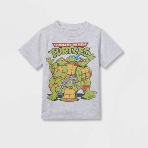 Toddler Boys' Teenage Mutant Ninja Solid T-Shirt - Gray 12M