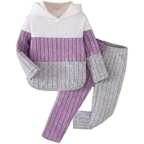 Toddler Baby Girl Clothes Fall Winter Outfits Long Sleeves Hoodie Top Sweatpants Set Sweatsuit 2Pcs