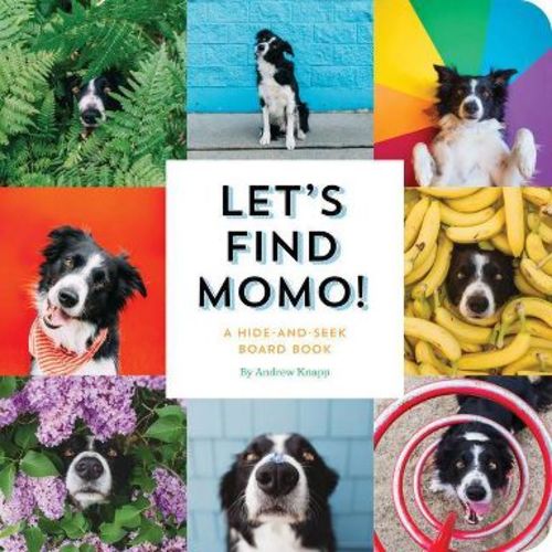 Let's Find Momo! - by Andrew Knapp (Board Book)