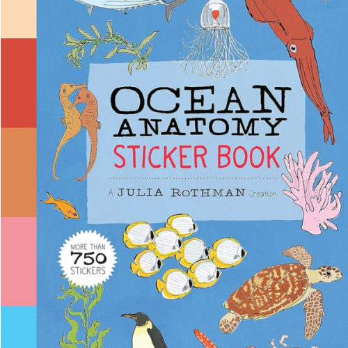 Ocean Anatomy Sticker Book: A Julia Rothman Creation; More than 750 Stickers
