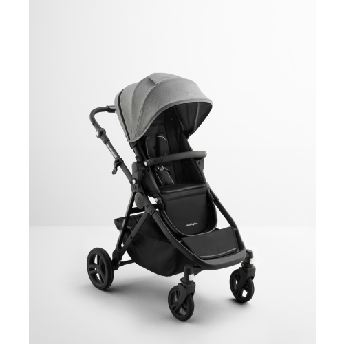 Single-to-Double Stroller 3.0