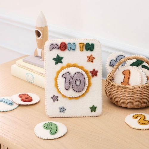 Felt Month Baby Milestone Card Set