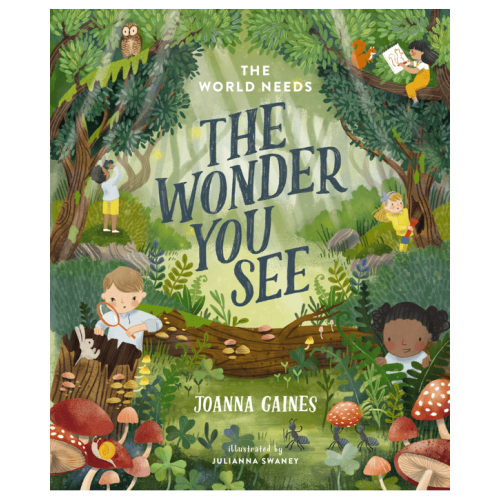 The World Needs The Wonder You See by Joanna Gaines - Book