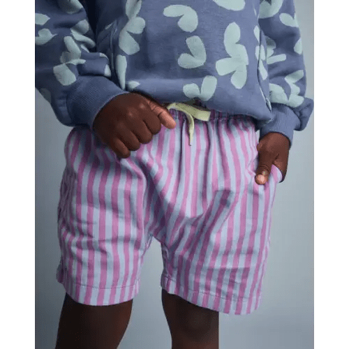 Toddler Boy Playground Shorts in Stripes - Blue/Purple - Otter Avenue | Carter's