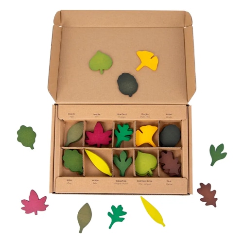 40-Piece Woodland Leaves Wooden Forest Set – Nature-Inspired Loose Parts Play