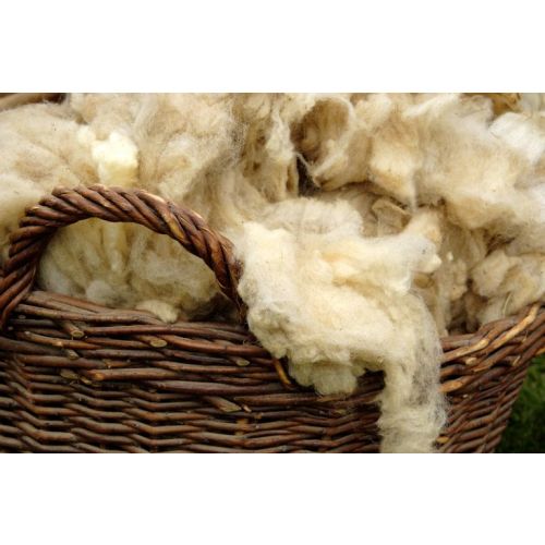 Natural Wool Quilt with Cotton Cover, 100% Wool