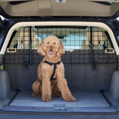 FRISCO Backseat Dog Barrier - Chewy.com