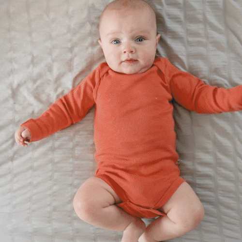10-Pack Organic Cotton Long Sleeve Bodysuits | Honest Baby Clothing