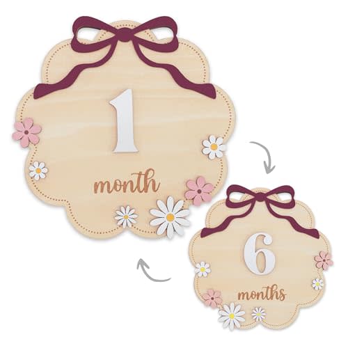 Wooden Baby Monthly Milestone Sign Set with Pink Bow, 1–12 Month Cloud Shape Photo Prop, Floral Baby Girl Growth Tracker Nursery Decor (Berry)