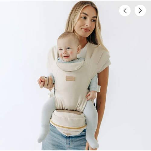 2-in-1 Convertible Carrier