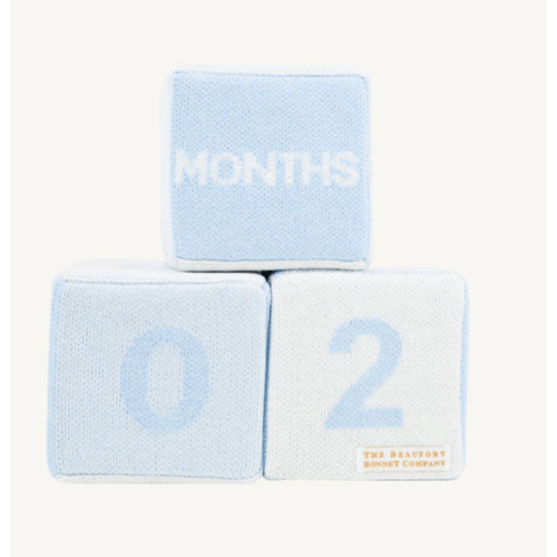The Beaufort Bonnet Company:
Blaylock Blocks
Milestone Blocks
