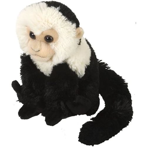 Wild Republic Capuchin Plush, Stuffed Animal, Plush Toy, Gifts for Kids, Cuddlekins 8 Inches, Multi (12274)