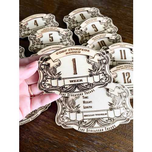 Milestone Cowboy Belt Buckle Set Newborn Photo Prop Monthly Disc Set Western Themed Nursery Gift Cowgirl Milestone Disc Rodeo Baby Gift Idea
