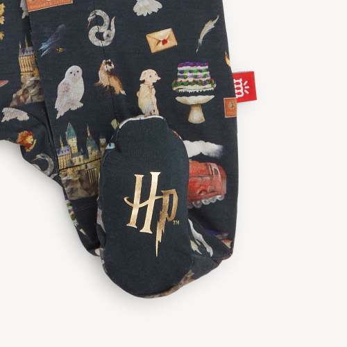 Harry Potter Magnetic Footie – Magnetic Me