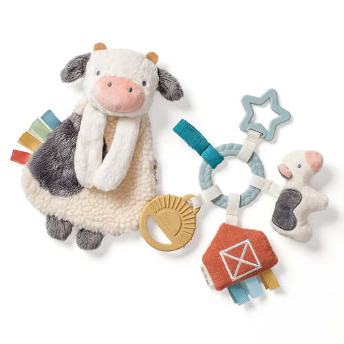 Itzy Ritzy Bitzy Busy Gift Set - Walmart.ca