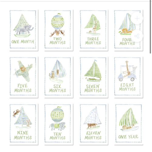 Baby Milestone Cards: Menagerie Blue Set