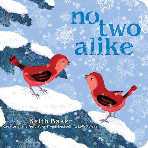 No Two Alike board book for twins