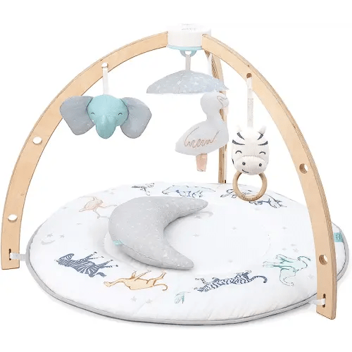 aden + anais Play and Discover Baby Activity Gym – 30+ Developmental Benefits - 3 Attachable Toys + Plush Tummy Time Pillow – 100% Cotton Muslin – Machine Washable