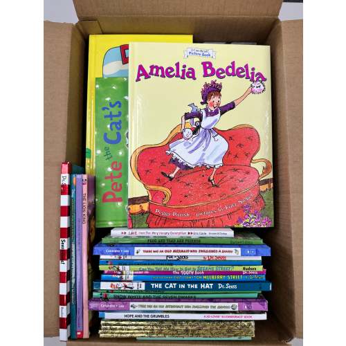 TheBookBundler - 40 Kids' Hardcover Books, Pre-Owned Mystery Box