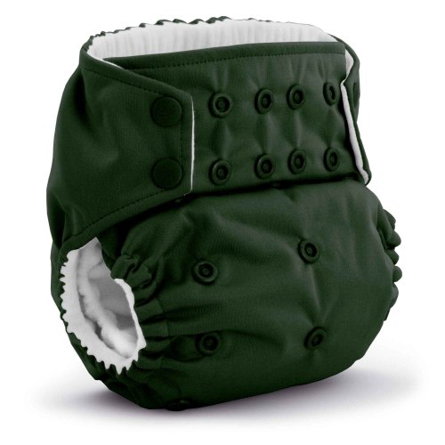 Rumparooz Stay Dry G3 One Size Pocket Cloth Diaper - Pine Green