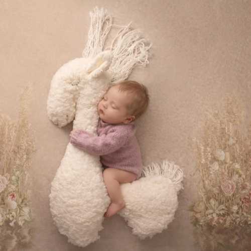 Newborn Horse Plush Toy: Baby Photo Prop Pony, Soft Stuffed Horse for Photography, Nursery Decor