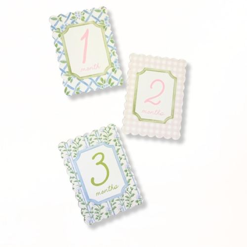 Baby Girl Pink Floral Milestone Cards, Monthly Baby Milestone Set, Baby Shower Gift, Milestone Markers, Coquette Nursery Newborn Photo Prop - Etsy