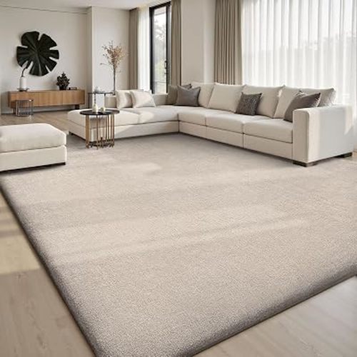 Sour Lemon 8x10 Area Rugs for Living Room Bedroom, Large Rug Carpet Taupe | Washable, Non Slip, Big Soft Fluffy Plush Thick, Memory foam, Bedside Nursery Modern Area Rug for Playroom Kids Room