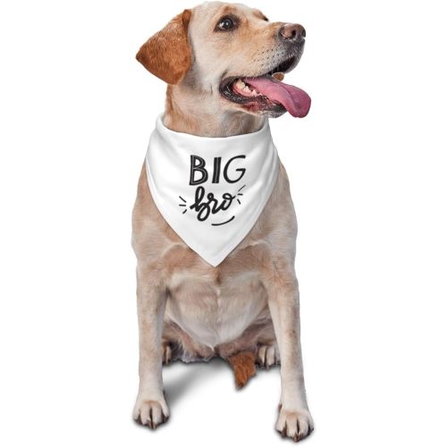 Big Brother Dog Bandana, Reversible, Baby Announcement, Gift for Dog Lover Owner (White-New)