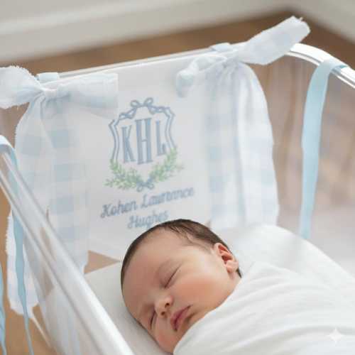 Baby Boy Banner with Custom Embroidered Monogram Frame - Blue Gingham Embroidered Baby Banner Pennant