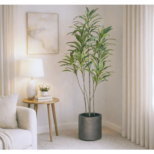 Faux 6.5' Dracaena Tree