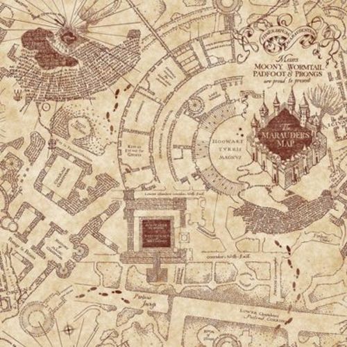 Harry Potter Marauder's Map Kids' Peel and Stick Wallpaper
