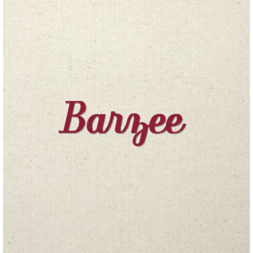 Large 5 Pocket Zip Top Long Handle Canvas Tote Bag