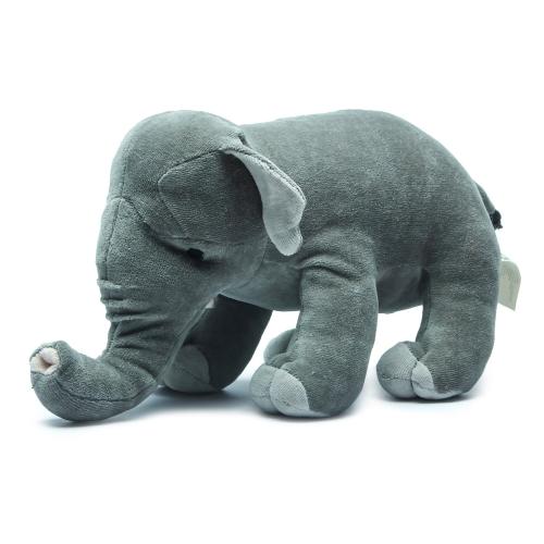 Asian Elephant&nbsp;– Bears for Humanity