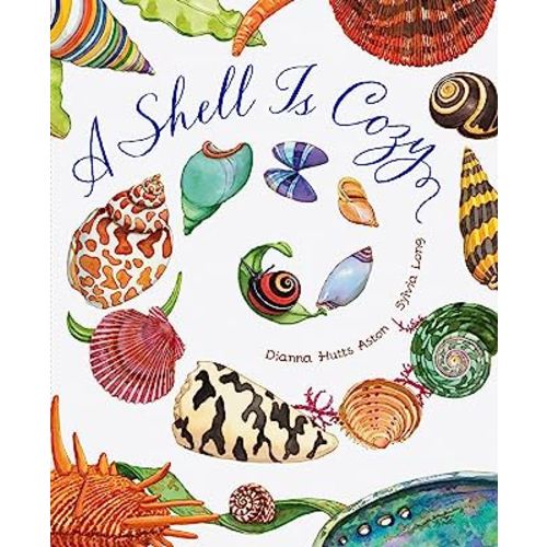 A Shell Is Cozy