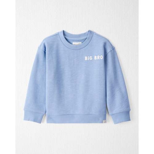 Toddler Organic Cotton Big Bro Sweatshirt - Little Planet | Carter's