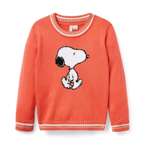 Boy Blazing Sun Peanuts Snoopy Sweater by Janie and Jack