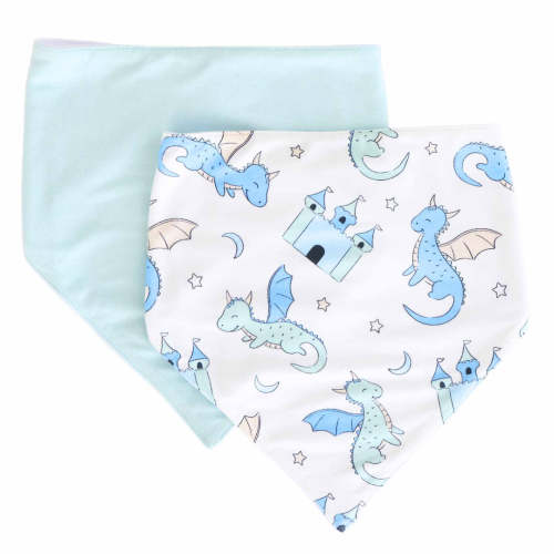 Dragon Adventure 2pc Bandana Bibs | Blue